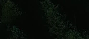 tight_crop query 4